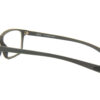 Zenzero-c.2-A ZENZERO
